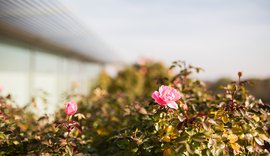 1210_Y2_3779_Gartensiedlung.jpg